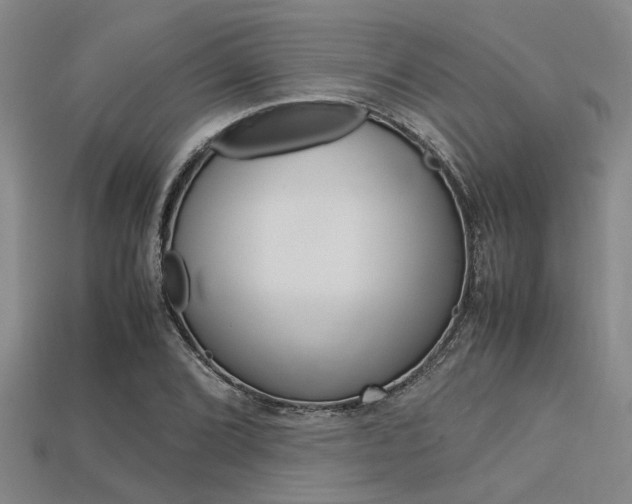 X0000113561072200909181016