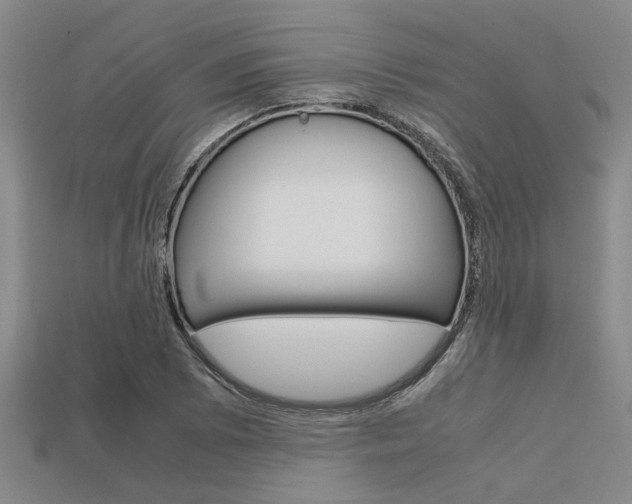 X0000113561073200909181016