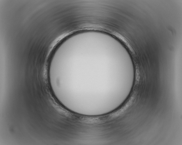 X0000113561074200909181016