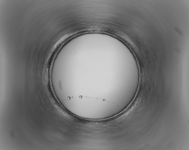 X0000113561075200909181016