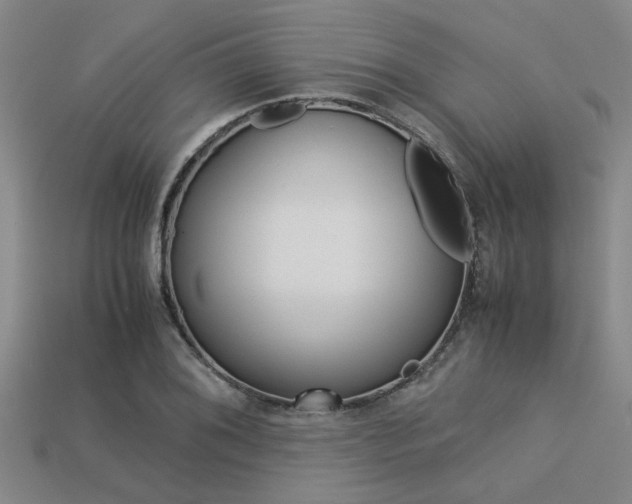 X0000113561076200909181016