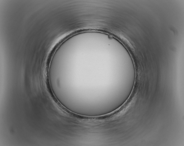 X0000113561077200909181016