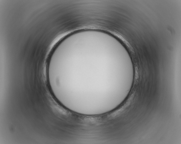 X0000113561078200909181016