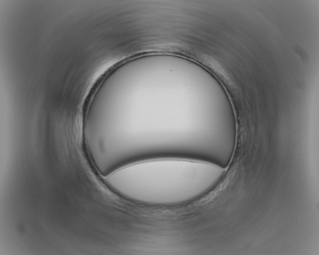 X0000113561079200909181016