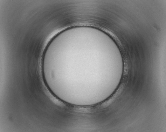 X0000113561086200909181016