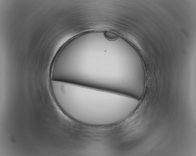X0000113561087200909181016