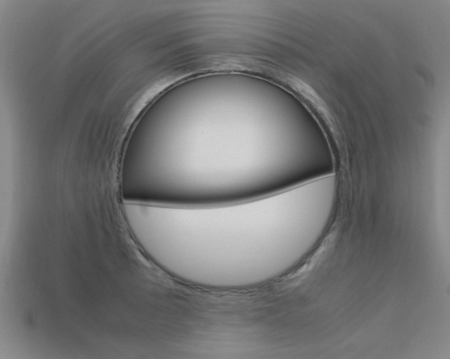 X0000113561089200909181016