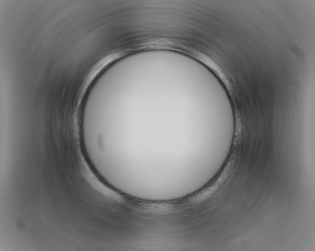 X0000113561090200909181016
