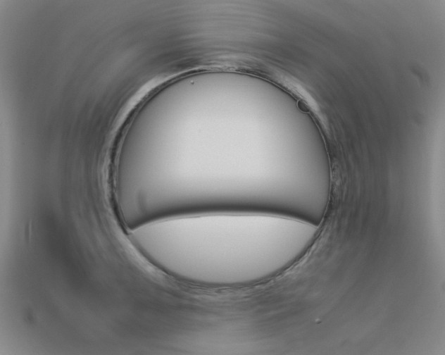 X0000113561091200909181016