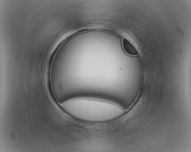 X0000113561093200909181015