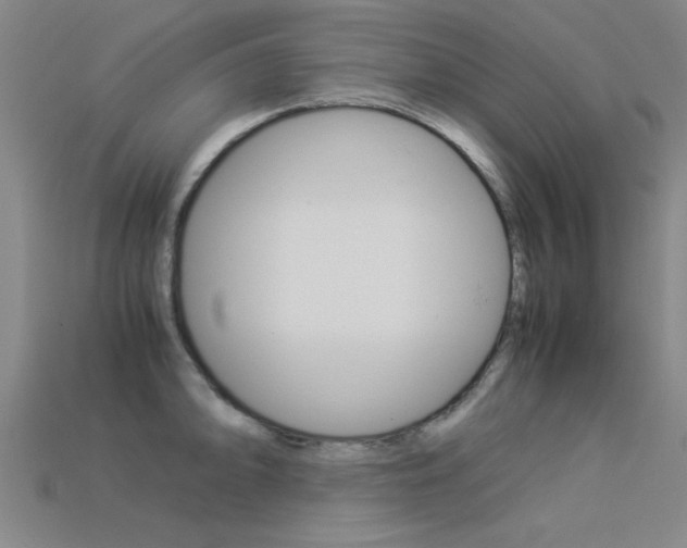 X0000113561094200909181015