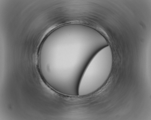 X0000113561095200909181015