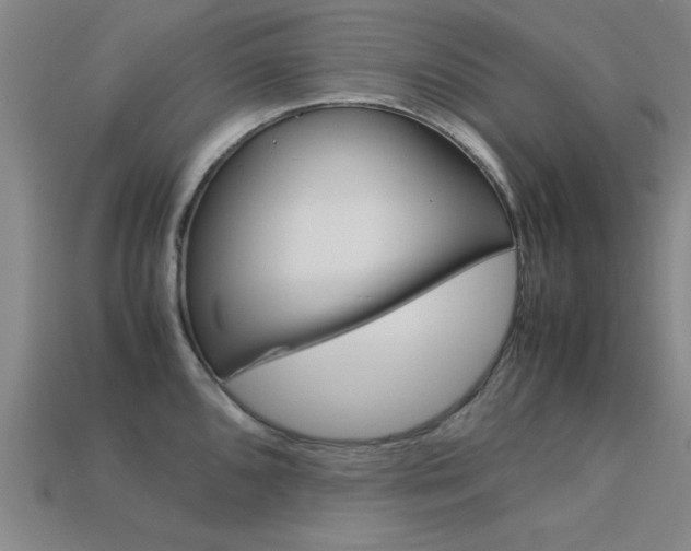 X0000113561096200909181015