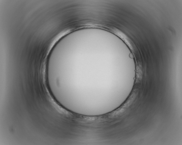 X0000113561098200909181015