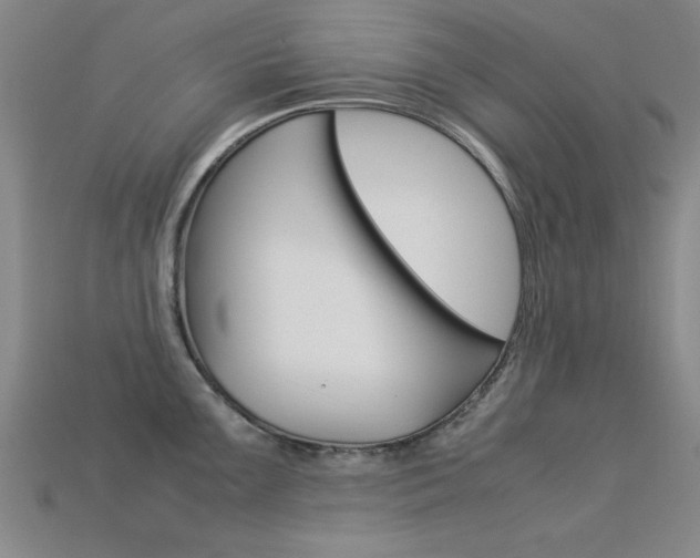 X0000113561099200909181015
