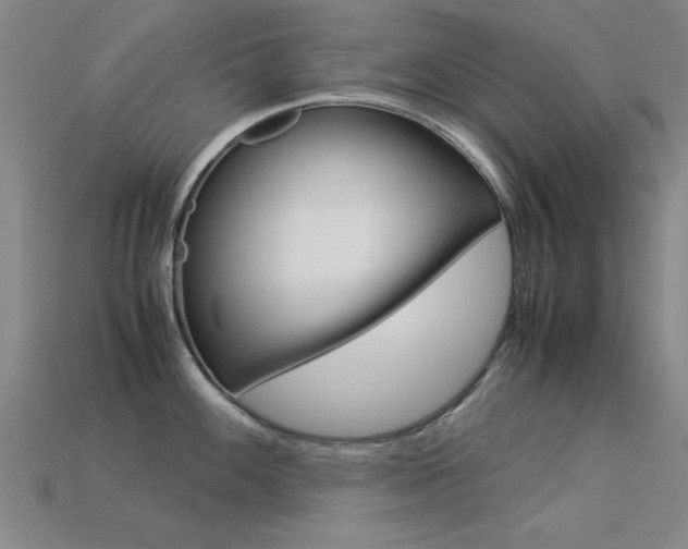 X0000113561100200909181015