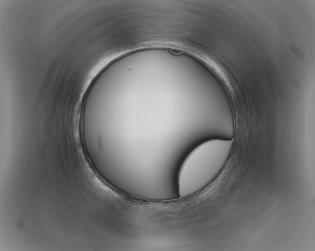 X0000113561102200909181015