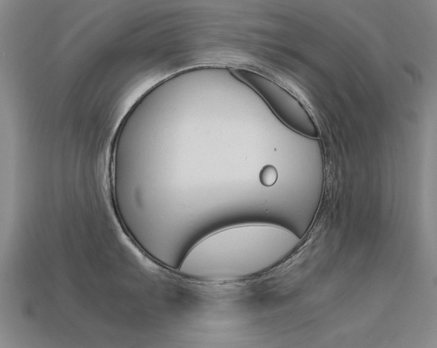 X0000113561103200909181015