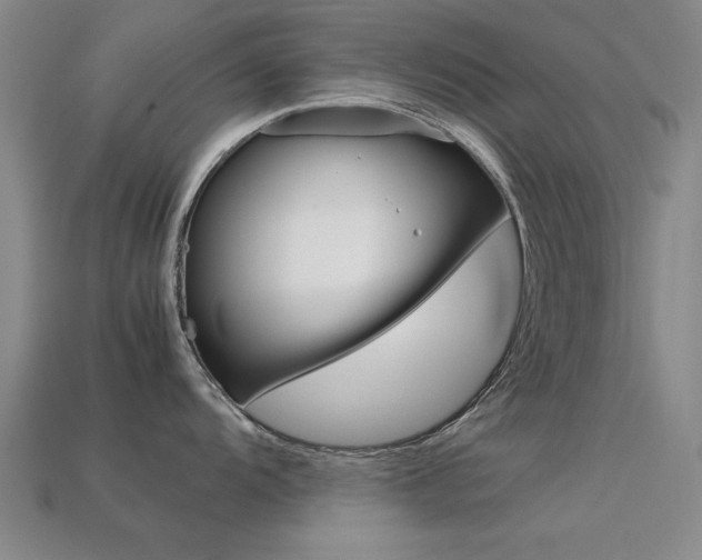 X0000113561104200909181015