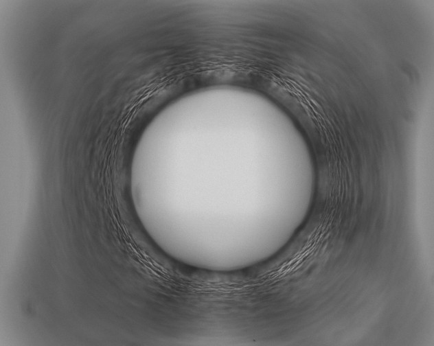 X0000113561105200909181014