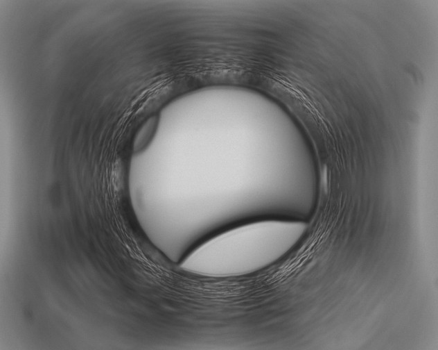 X0000113561107200909181014