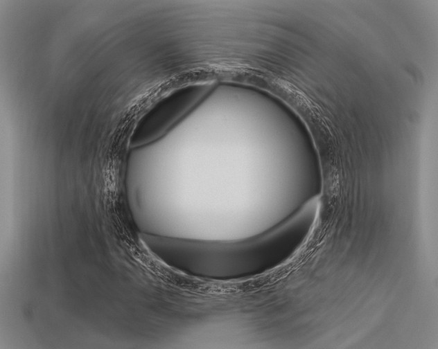 X0000113561110200909181014