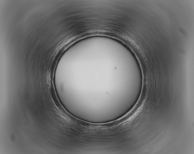 X0000113561113200909181014