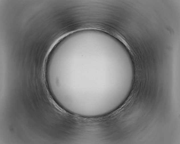 X0000113561116200909181015