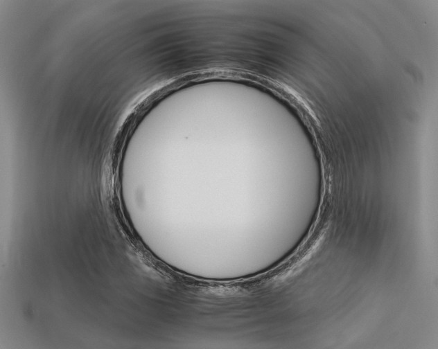 X0000113561117200909181015