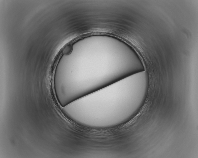 X0000113561119200909181015