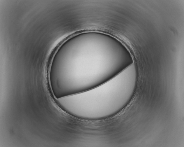 X0000113561120200909181015