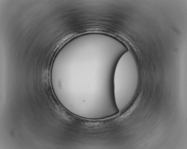 X0000113561121200909181015