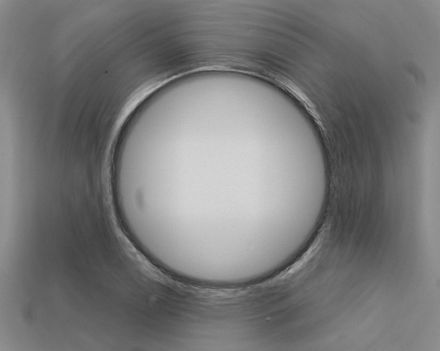 X0000113561122200909181015