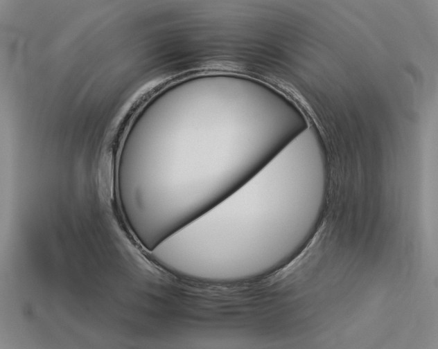 X0000113561123200909181015