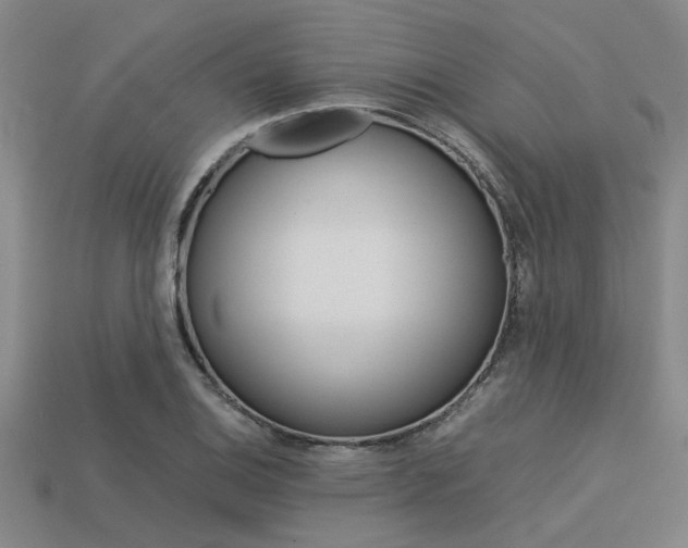 X0000113561124200909181015