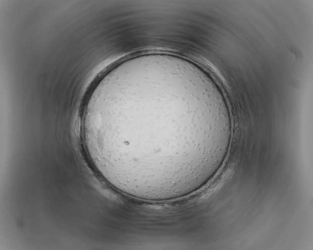 X0000113561125200909181015