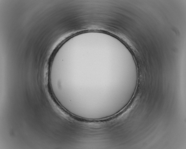 X0000113561126200909181015
