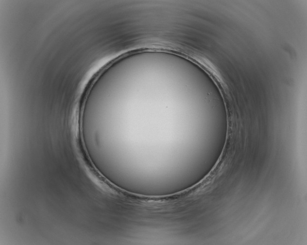 X0000113561128200909181015
