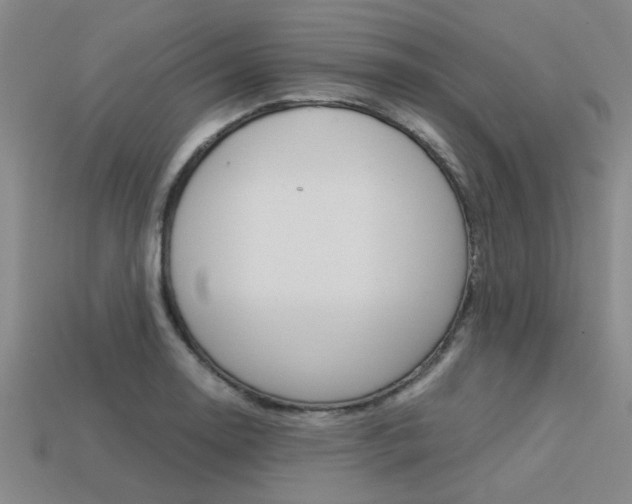 X0000113561130200909181015