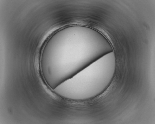 X0000113561131200909181015