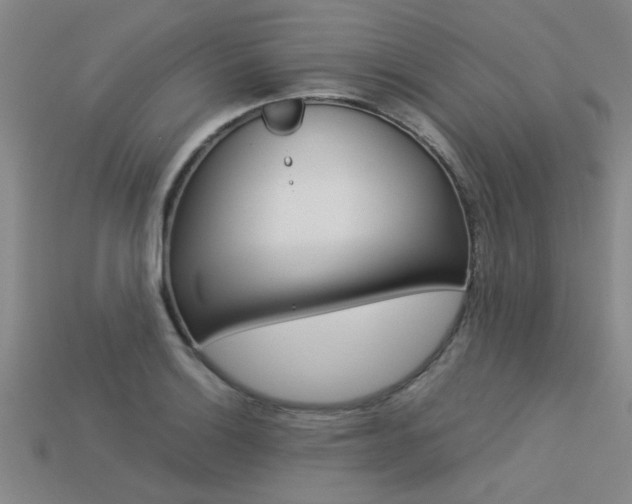 X0000113561132200909181015
