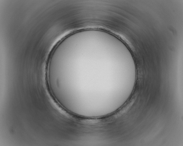 X0000113561134200909181015