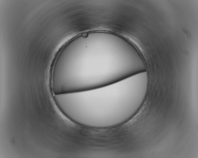 X0000113561135200909181015
