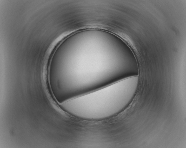 X0000113561136200909181015