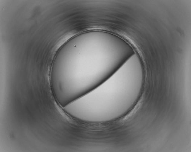 X0000113561137200909181015