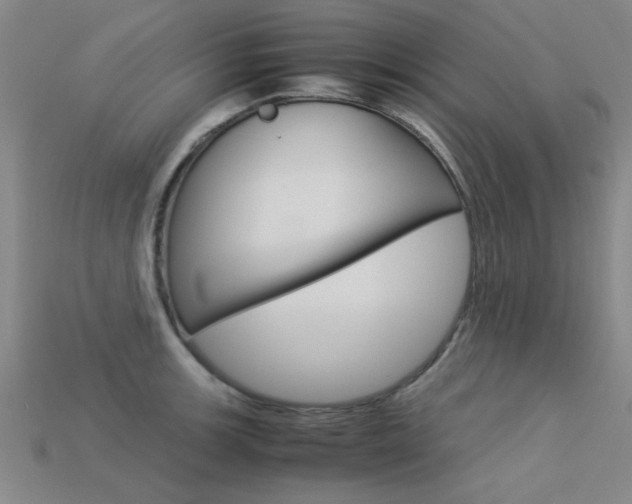 X0000113561139200909181015