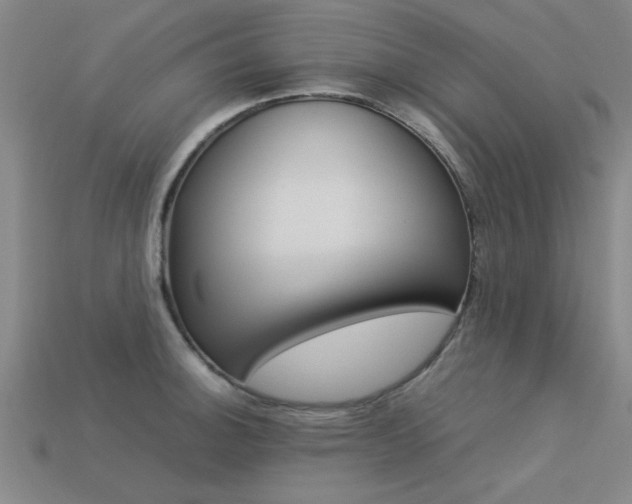 X0000113561140200909181015