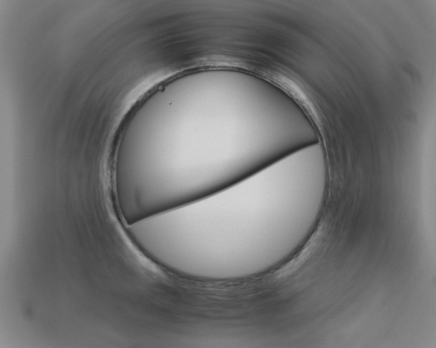 X0000113561141200909181015