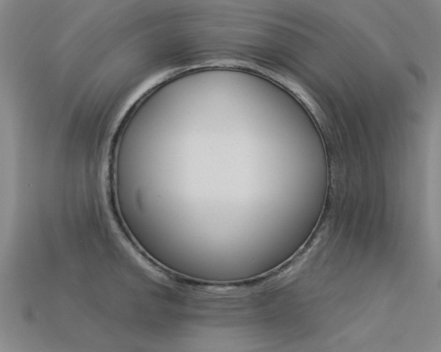 X0000113561142200909181015