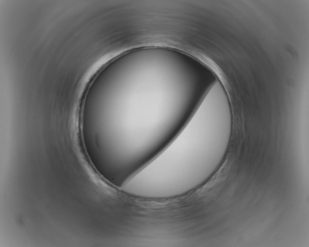 X0000113561144200909181015